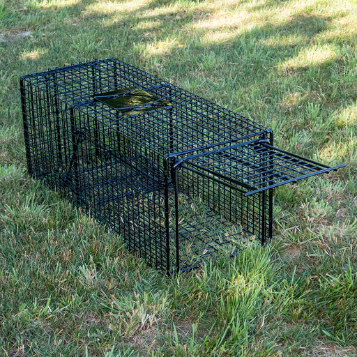 Professional Cage Trap Open