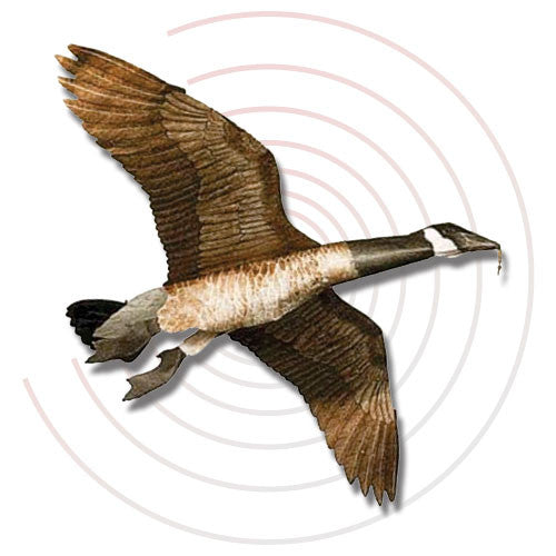 Canadian Goose - Decoy Kite